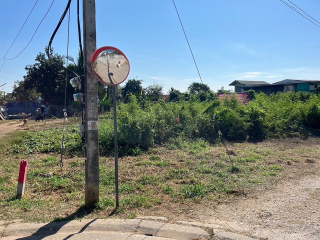 ขาย ที่ดิน 394 ตร.ว. ใกล้ รพ.ค่ายนเรศวร ต.ในเมือง อ.เมืองพิษณุโลก