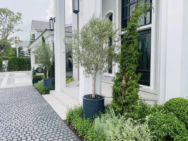 FPL1088ขายบ้านเดี่ยวหรู 2 ชั้น 202 ตรว. 5 ห้องนอน โครงการเพอร์เฟค มาสเตอร์พีซ พระราม 9-กรุงเทพกรีฑา แต่งสวย พร้อมเข้าอยู่