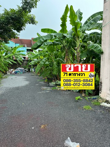 ขายที่ดินเปล่า 71 ตารางวา ถนนเพชรเกษม 77 ซอยสวัสดิการ3  ใกล้ห้างเดอะมอลบางแค เดินทางเข้าและออกเมืองได้สะดวก  ZT340