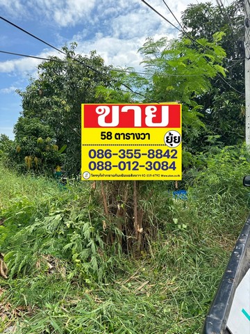 ZT339 ขายที่ดินเปล่า ซอยจรูญสอนดี พัฒนาชนบท 3 เนื้อที่ 58 ตารางวากว้าง 11 เมตร ลึก 22 เมตรที่ตั้ง ซอยจรูญสอนดีถนนพัฒนาชนบท 3 ถนนร่มเกล้าเขตลาดกระบัง กรุงเทพ -เหมาะที่จะสร้างบ้านพักอาศัย โกดัง  ออฟฟิศ หรือเก็บไว้เก็งกำไรที่ดินตั้งในแหล่งชุมชน  และเป็นแหล่งที่กำลังจะพัฒนา มีถนนตัดผ่านหลายสาย เดินทางสะดวก-ไฟฟ้า /ประปา เข้าถึง-ใกล้โครงการหมู่บ้านหลายโครงการ -ใกล้ตลา