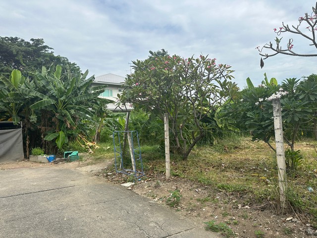 ZT338 ขายที่ดิน ซอยแจ้งวัฒนะ 10 แยก 9-1เนื้อที่ 157 ตารางวากว้าง 18  เมตร ลึก 26 เมตรที่ตั้ง: ซอยแจ้งวัฒนะ 10 ตำบลทุ่งสองห้อง อำเภอหลักสี่ จังหวัดกรุงเทพมหานครจุดเด่น - ทำเลใจกลางเมือง ราคาถูก- เข้าออกได้ ทั้งถนนแจ้งวัฒนะ ถนนสรงประภา และถนนวิภาวดีรังสิต- ใกล้รถไฟฟ้า MRT สายสีชมพู สถานีศูนย์ราชการ- ราคานี้ฟรีค่าใช้จ่ายในการโอนสถานที่ใกล้เคียง- ศูนย์ราชการแจ้งวัฒนะ- สนง.เขต