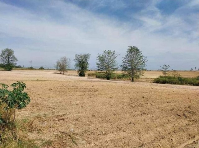 TEL :088-559 5199 คุณเอLine : https://line.me/ti/p/C0eGe0whLXขายที่ดิน  131-2-68 ไร่พิกัด : พันเสด็จ ศรีราชา ชลบุรีติดถนน 331 ที่ดินผังสีม่วงกว้าง 560 เมตร. ยาว 120 เมตรขายถูกมากแถวนั้นขายกันไร่ละ 6.5 ล้านขึ้นราคาไร่ละ 4,000,000 บาท(ราคาทั้งแปลง 526,680,000 บาท)ค่าธรรมเนียมโอน 50/50สถานที่ใกล้เคียง- โรงพยาบาลปิยเวชบ่อวิน 400 ม.- นิคมอุตสาหกรรมเหมราช 6 กม.- นิคมอุตสาหกรรมดับบิวเอชเอชชลบุรี 1 7 กม.- ห้างโรบินสัน ( สี่แยกปากร่วม ) 8 กม.- น