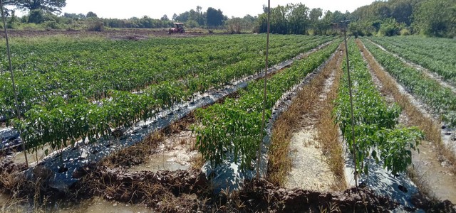 ขายที่ดินติดแม่น้ำโขง 18-2-70 ไร่ ต.กุดบง อ.โพนพิสัย จ.หนองคาย หน้าติดถนนโยธาธิการ หนองคาย หลังติดแม่น้ำโขง ขายยกแปลงไร่ละ 2  ล้านบาท  แบ่งขายไร่ละ 3.5 ล้านบาท ใกล้สะพานมิตรภาพไทย - ลาว  อยู่ในแหล่งชุมชน ใกล้โรงเรียน ใกล้โรงพยาบาล ใกล้วัดสำคัญทางพุทธศาสนาหลายจุด  ด้านหลังวิวแม่น้ำทิศเหนือสวยมาก  น่านน้ำกว้างใหญ่  เห็นทิวทรรศประเทศลาวเพื่อนบ้านไทย  ด้านหน้าติดถนน