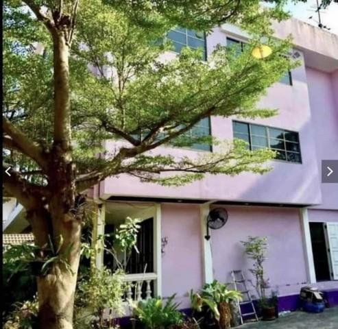 ขายที่ดินพร้อมบ้าน 3 หลัง ใกล้ทางด่วนสุขุมวิท 62 บางจาก พระโขนง เนื้อที่ 331 ตรว. สุขุมวิท 62 ใกล้ BTS บางจาก