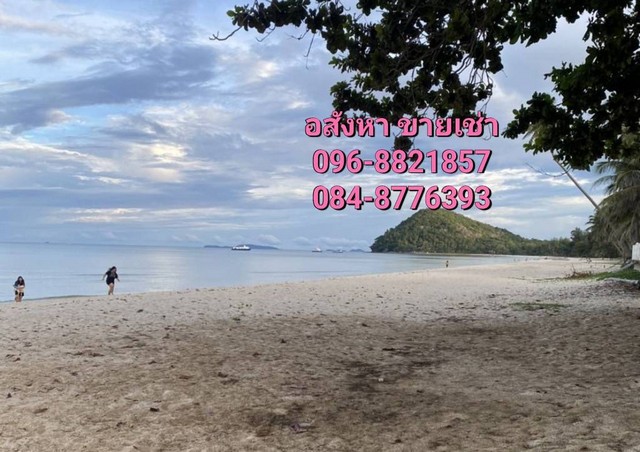 ขายที่ดิน ติดทะเล หาดส่วนตัว 119 ตร.วา และ 145 ตร.วา  ราคา 6.8ลบ. และ 7.3ลบ. ที่ดินริมหาดส่วนตัว ที่ดินติดทะเลหาดสะพลี ถัดไปคือหาดทุ่งวัวแล่น ทะเลสวยน้ำใสสีครามทรายขาว ทิวทัศน์สดชื่นชุ่มฉ่ำเย็นสบาย สวย โดดเด่น สง่า หายาก เหลือไม่กี่แปลงแล้วในแถบนั้น ตรงอ่าวนี้ สโลแกนคือ หาดสวย น้ำใส หนึ่งในสยาม ได้รับการรับรองจากกรมทรัพยากรและสิ่งแวดล้อม อ่าวสะพลีมีจุดเด่นได้รั