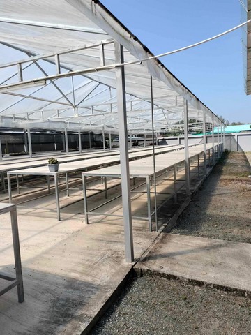 ขายที่ดิน พื้นที่200ตรว ติดถนนหลัก ทางไปเขื่อนแม่กวง พื้นที่หัวมุม ติดถนน2ด้าน น้ำไฟครบ