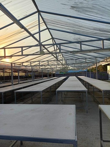 ขายที่ดิน พื้นที่200ตรว ติดถนนหลัก ทางไปเขื่อนแม่กวง พื้นที่หัวมุม ติดถนน2ด้าน น้ำไฟครบ