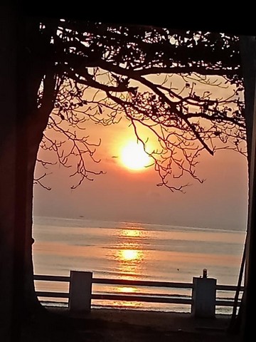 ขายที่ดินใกล้หาดทุ่งวัวแล่น 3ไร่ 8.5  ลบ.ต.สะพลี อ.ปะทิว จ.ชุมพร ราคาคุยได้ สนใจโทรตรง 096-882-1857  แปลงนี้ถูกสุดในย่านที่ดินใกล้หาดทุ่งวัวแล่นเพียงแค่ 1 กิโลเมตรเท่านั้น ติดถนนเส้นไปสนามบินชุมพร   ห่างจากสนามบินแค่เพียง 24 กิโลเมตร ทางเข้าซอยไปหาดสวยสุดในชุมพร หาดทุ่งวัวแล่น ทะเลสวยน้ำใสสีครามทรายขาว ทิวทัศน์สดชื่นชุ่มฉ่ำเย็นสบาย สวย โดดเด่น สง่า หายาก เหลือไม่กี