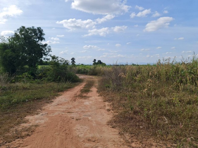 ขายที่ดินติดภูเขา ภูเวียง ที่ดินวิวเขาสวยงามมากธรรมชาติสุดสุด อากาศดีปลอดโปร่งร่มเย็นสบาย มีบ่อน้ำสาธารณะใช้ประโยชน์อุปโภคได้ ที่ดินตั้งอยู่ที่  หมู่ที่ 14 ต.นาจาน อ.สีชมพู จ.ขอนแก่น เนื้อที่รวม 124-2-73 ไร่ มี 6 โฉนด เช่า 1200 บาท/ไร่/ปี  แบ่งขายเป็นไร่ๆ ราคาไร่ละ 300,000 บาท   แบ่งขายเพียง 2 โฉนดเท่านั้น ค่าใช้จ่ายวันโอนทั้งหมดคนละครึ่ง ,ฉ.13243 เนื้อที่ 21-2-27 ไร่ฉ.13244 เนื้อที่ 23-2-52 
