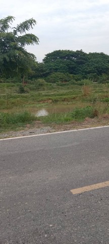 ขายบ้านพร้อมที่ดิน 262 ตารางวา หมู่ที่ 4 ต.โพทะเล อ.ค่ายบางระจัน จ.สิงห์บุรี เลขที่โฉนด 6942เอกสารสิทธิ์โฉนดครุฑแดง ขาย 500,000 บาท ค่าใช้จ่ายวันโอนทั้งหมดคนละครึ่งโปรโมชั่นพิเศษสุดสุด สามารถซื้อแบบผ่อนเจ้าของได้ติดถนนรถยนต์เข้า-ออกได้ ทางเข้าทางหลวงชนบท สห.3098 ใกล้คลองยางต้นเดีย คลองสาธารณประโยชน์และติดทางสาธารณประโยชน์ รถยนต์เข้าออกได้น้ำไฟถึงที่ ใกล้สถานที