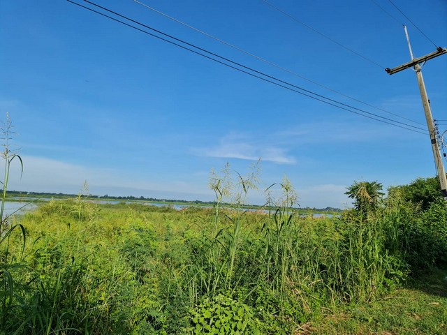 ขายที่ดิน 4-1-88 ไร่ ฉ.5028 ต.มหาราช อ.มหาราช จ.พระนครศรีอยุธยา โฉนด ไร่ละ 320,000 บาทแบ่งขาย ติดถนนคอนกรีต ถนนดำ ไฟฟ้าประปาเข้าถึงแล้ว สาธารณูปโภคครบครัน  คมนาคมเดินทางสะดวกสบาย ใกล้ทางหลวงทางหลัก 4007 ย่านแหล่งชุมชน อยู่ใกล้สถานที่สำคัญหลายแห่ง ใกล้ที่ว่าการอำเภอมหาราช โรงพยาบาลมหาราช โลตัสมหาราช โรงเรียนมหาราชประชานิมิต  การไฟฟ้า สำนักงานเทศบาลตำบลมหาราช สำนักงาน