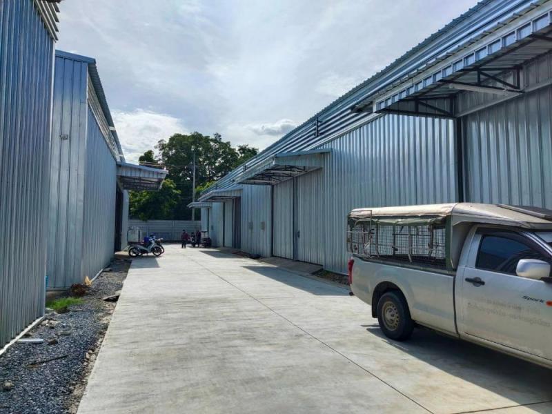 ให้เช่าโกดังขนาดเล็ก ประเสริฐมนูกิจ 5 ลาดพร้าว พื้นที่ใช้สอย 120 ตารางเมตร ขนาด 8 x 15 เมตร