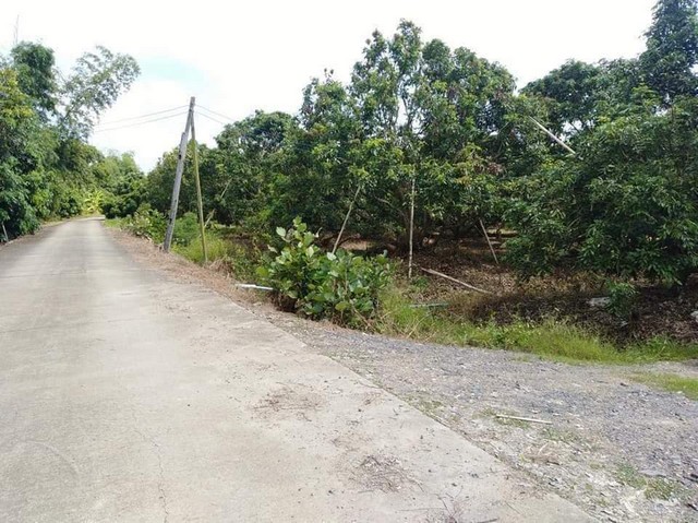 ขายที่ดินสวนลำไย 8ไร่ 8ล้านบาท สาธารณูปโภค เหมาะทำบ้านจัดสรร ต.ชมภู อ.สารภี เชียงใหม่