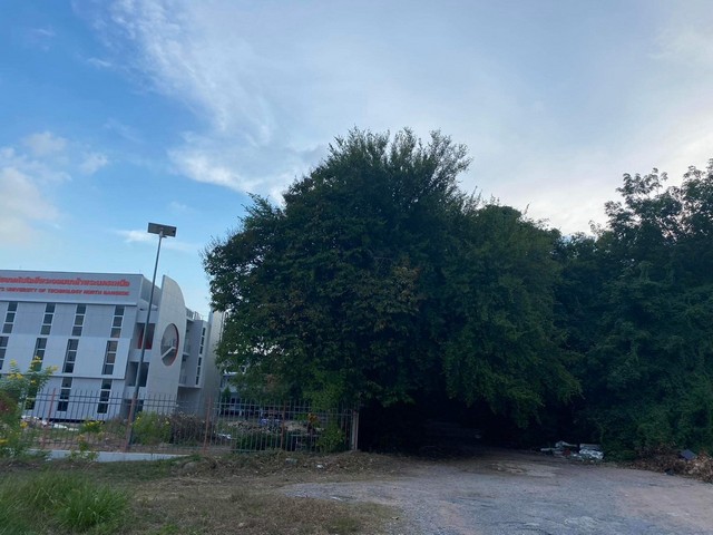 ขายที่ดินหลังวัดโสภณวนาราม  อำเภอเมือง ระยอง จังหวัดระยอง จำนวน 107 ไร่