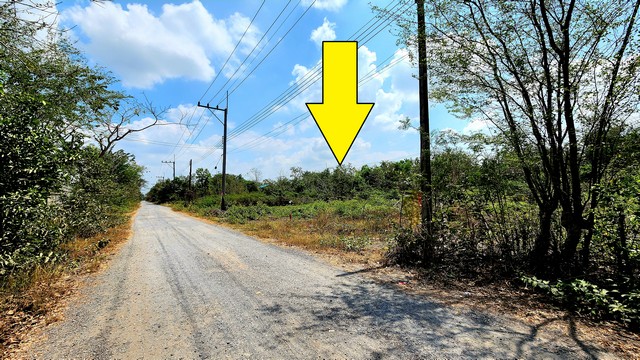 ขายที่ดินคลอง 12 หนองเสือ 53 ตรว อยู่ใกล้ถนนรังสิต-นครนายก*** ขายราคา 420,000 บาท *** ( มีเนื้อที่ 53 ตรว )ขายที่ดิน คลอง 12 หนองเสือ 53 ตรว ถมแล้ว ทำเลเหมาะ ปลูกบ้าน ทำการเกษตรพอเพียง สามารถซื้อเก็บไว้ในอนาคตได้ค่ะที่ตั้ง : ตำบล หนองสามวัง อำเภอ หนองเสือ ปทุมธานี 12170แปลงที่ดินมีเนื้อที่ 53 ตรว  หนองเสือ คลอง 12  - กว้าง 11 เมตร   - ลึก 19.2 เมตร   ลักษณะ: เป็นพื้นที่สีชมพู ปัจจุบันแปลงที่ดิน เ