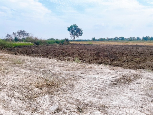 ที่ดินติดถนน 2 ด้าน ถนนหน้าและหลัง คลอง7 หนองเสือ 200 ตรว.ติดชุมชน