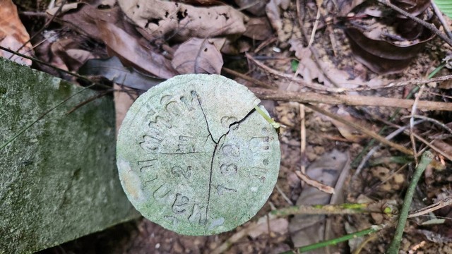 ขายที่ดินเกาะโหลน 20 ไร่ เหมาะสำหรับ โรงแรม วิลล่า ร้านอาหารตำบลราไวย์ อำเภอเมืองภูเก็ต  จังหวัดภูเก็ต