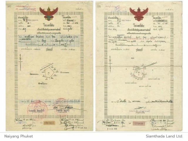 ขายที่ดิน เหมาะสำหรับสร้างบ้านส่วนตัว สร้างรีสอร์ท ตำบลสาคู อำเภอถลาง จังหวัดภูเก็ต