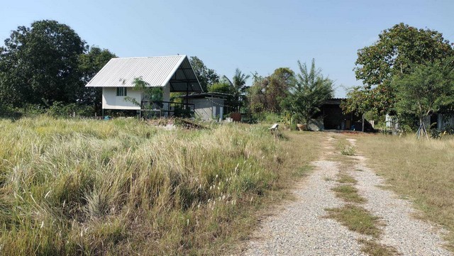 ที่ดินพร้อมสิ่งปลูกสร้าง 2-0-8  ไร่  ทำเลทองสไตล์ชายทุ่ง   ต.วัดไทรย์ อ.เมือง จ.นครสวรรค์  ZK266