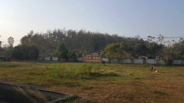 ที่ดินติดน้ำ ขายไร่ละ 2.5 ล้าน เนื้อที่ 3-1-27 ตรว. แบ่งแปลงขายได้ ดอยสะเก็ด ถมแล้ว รั้ว ถนนคอนกรีตฯ ติดฝายน้ำล้น และลำเหมืองสาธารณะตลอดแนว