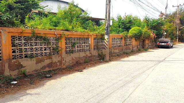 ขายที่ดินพร้อมสิ่งปลูกสร้าง 300 ตารางวา  อยู่ในตัวเมือง สิงห์บุรี ใกล้แยกศาลหลักเมือง    ZTK026