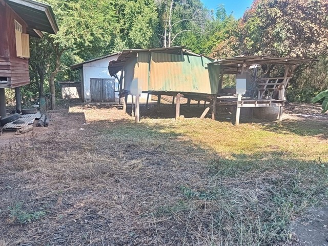 รายละเอียดเพิ่มเติมCode ID : PAP-4-0343 ราคาขาย       790,000 บาท- ขนาดพื้นที่ :  820 ตร.ว (2 ไร่ / 20 ตร.ว)- พื้นที่ใช้สอย : 161 ตรม- จำนวนห้อง : - ห้องนอน - ห้องน้ำ- ที่จอดรถ : 1-2 คัน- บ้านพร้อมที่ดิน : 1 ชั้น- บ้านพร้อมที่ดินหันทางทิศ : -พิกัดทรัพย์ :   https://maps.app.goo.gl/z87Ts8fS51RSPV7E8สถานที่ใกล้เคียง- ใกล้ตลาดหันคา- ใกล้โลตัส โกเฟรช หันคา- ใกล้โรงเรียนหันคาพิทยาคม- ใกล้วัดท่ากฤษณาสอบถามเพิ่มเติม/นัดชมโทร. 097-419-5982(พลอย)โทร. 096-932-4624