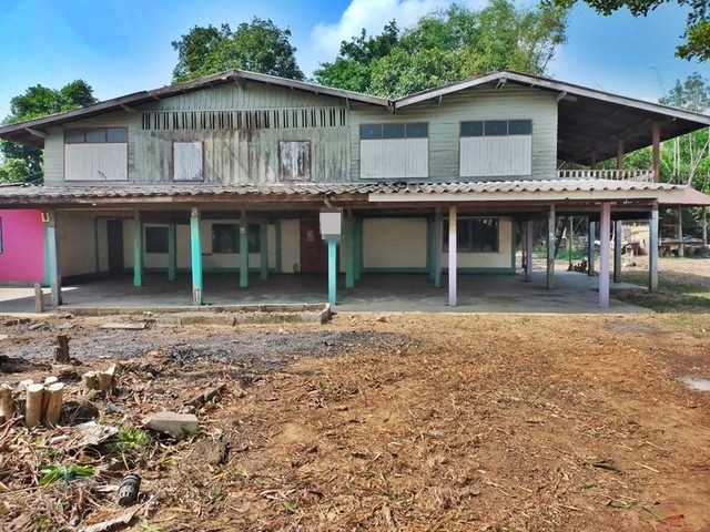 รายละเอียดเพิ่มเติมCode ID : PAP-6-0227 ราคาขาย       585,000 บาท- ขนาดพื้นที่ :  430 ตร.ว (1 ไร่ / 30 ตร.ว)- พื้นที่ใช้สอย : 365.40 ตรม- จำนวนห้อง : - ห้องนอน - ห้องน้ำ- ที่จอดรถ : 1-2 คัน- บ้านครึ่งตึกครึ่งไม้ : 2 ชั้น- บ้านครึ่งตึกครึ่งไม้หันทางทิศ : -พิกัดทรัพย์ :   https://maps.app.goo.gl/sK3P3hAQknAEPCkRAสถานที่ใกล้เคียง- ใกล้วัดศรีดาวเรือง- ใกล้วัดพร้าว (ชัยนาท)- ใกล้โรงเรียนอนุบาลเกียรติคุณ- ใกล้วัดศรีดาวเรืองสอบถามเพิ่มเติม/นัด�