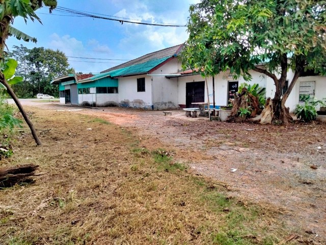  รายละเอียดเพิ่มเติม Code ID :  PAP1-0517  ราคาขาย 5,500,000  บาท- ขนาดพื้นที่ :  720 ตรว. - พื้นที่ใช้สอย : 738.5 ตรม.  - จำนวนห้อง :  2 ห้องนอน 2 ห้องน้ำ - ที่จอดรถ :  1 คัน- บ้านหันทางทิศ :  เหนือ พิกัดทรัพย์ :  https://maps.app.goo.gl/PQJDtHpnBK5Jebzs8    สถานที่ใกล้เคียง- ใกล้  โลตัส หนองเรือ​- ใกล้  โรงพยาบาล หนองเรือ- ใกล้  โรงเรียนบ้านนาเปือย- ใกล้  โรงเรียนหนองเรือวิทยาสอบถามเพิ่มเติม/นัดชมโทร. 097-419-5982(พลอย)โทร. 096-932-4624(ออมสิน)Line : @panaya (มี@ด�