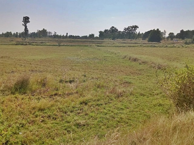 ขายที่ดินการเกษตร ต.คึมชาด อ.หนองสองห้อง จ.ขอนแก่น  PAP3-0390