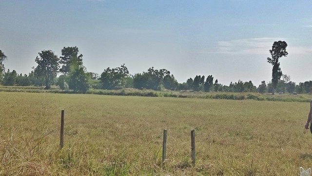 ขายที่ดินการเกษตร ต.คึมชาด อ.หนองสองห้อง จ.ขอนแก่น  PAP3-0390