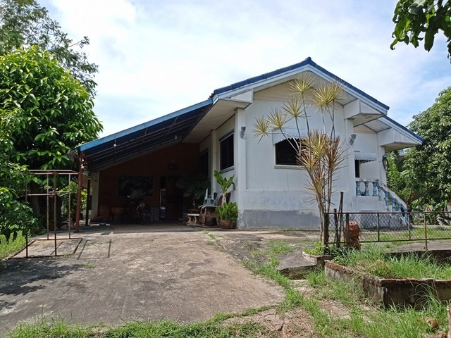 รายละเอียดเพิ่มเติม Code ID : PAP4-0529  ราคาขาย  2,520,000  บาท- ขนาดพื้นที่ : 414.9 ตรว.  - พื้นที่ใช้สอย : 197.25 ตรม. - จำนวนห้อง :  1 ห้องนอน 1 ห้องน้ำ  - ที่จอดรถ :   1 คัน- บ้านหันทางทิศ :  ตะวันออกเฉียงใต้ พิกัดทรัพย์ :  https://maps.app.goo.gl/nVaTVagu8XSJzeoV7    สถานที่ใกล้เคียง- ใกล้  โรงพยาบาลน้ำพอง- ใกล้  วัดสีลาขันธ์- ใกล้  ตลาดนัดวันอาทิตย์บ้านหินกอง- ใกล้  เขื่อนหนองหวายสอบถามเพิ่มเติม/นัดชมโทร. 097-419-5982(พลอย)โทร. 096-932-4624(ออมสิน)Lin