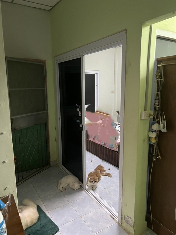 ขายด่วน ทาวน์เฮ้าส์ 1 ชั้น ต.ดอนทอง อ.เมือง จ.พิษณุโลก (ใกล้สี่แยกบริษัทไทยแอร์โรว)