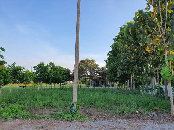 ที่ดินสวย ทำเลทอง ขนาด 200 ตรวตั้งอยู่ในโครงการบ้านเหมือนฝัน น้ำไฟพร้อมใช้ทำเลที่ตั้ง:อยู่ในโครงการบ้านเหมือนฝัน (ซอย 9)หัวหิน 112ห่างจากถนนเพชรเกษม 3 กม.ชายทะเลหัวหิน 3.5 กม.ใกล้โครงการมหาสมุทร, ตลาดน้ำสามพันนาม, สนามกอล์ฟบันยัน, สวนน้ำวานา, นาวา, ตลาดซิคาด้า, อุทยานราชภักดิ์เชื่อมต่อถนนบายพาส วัดห้วยมงคล(หลวงปู่ทวด)ลักษณะที่ดิน:รูปสี่เหลี่ยม ขนาด กว้าง 20 x ลึก 40 เ