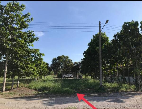 ขายด่วน ! ที่ดินสวย หัวหินซอย 112 ตำบล หนองแก อำเภอหัวหิน ประจวบคีรีขันธ์