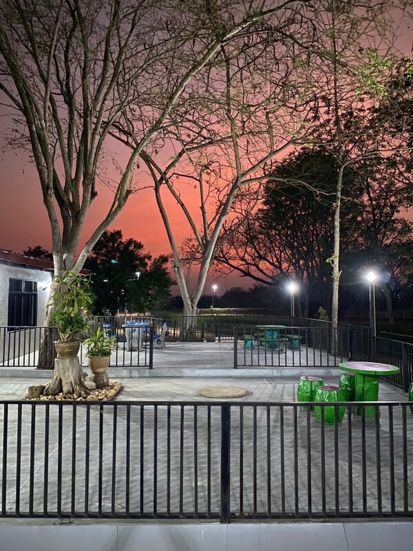 ขายที่ดิน 83ไร่ 1-37 ตร.วา แถวอ.หล่มสัก จ.เพชรบูรณ์ เหมาะทำ หมู่บ้าน-รีสอร์ท