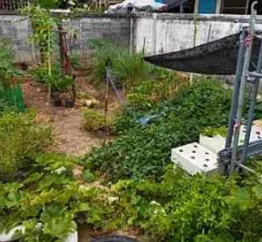 ขายที่ดิน เนื้อที่ 50 ตารางวา ถนนสุขาภิบาล 5 ซอย 5 แยก 20 ย่านวัชรพล เหมาะสร้างบ้าน หรือสำนักงาน 3 ชั้น ( มีผังเสาเข็ม )ราคาขาย 2,300,000 บาท ( โอนคนละครึ่ง )ที่ตั้ง ถนนสุขาภิบาล 5 ซอย 5 แยก 20 แขวงท่าแร้ง เขตบางเขน กรุงเทพมหานคร 10220ติดต่อ : คุณภัสพงณ์ 063-409-8164Line : deedaa23เนื้อที่ 50 ตารางวา กว้างประมาณ 10 เมตร ลึกประมาณ 20 เมตรที่ดินถมแล้ว 8 ปี ตอกเสาเข็ม 18 เมตร พร้อมสำหรับก่อสร้างบ้านหรือสำนักงา