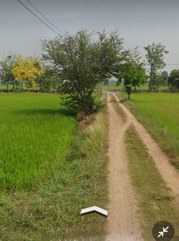 ขายที่ดินแปลงสวย 4 ไร่  17 ตารางวา ตำบลหนองหัวโพ  อำเภอหนองแสง   สระบุรีรหัส TTR 1649ขายที่ดินแปลงสวย 4 ไร่  17 ตารางวา ตำบลหนองหัวโพ  อำเภอหนองแสง   สระบุรี ติดถนน 2 ด้าน ปัจจุบัน ทำนา ปีละ 2 ครั้ง น้ำมีตลอดทั้งปี รับน้ำจากเขื่อนป่าสักชลสิทธิ์ ทางเข้าออกได้ 2 ทางตัดจากถนน 3041 เข้าสู่ถนนหมู่บ้านเพียงไม่กี่เมตร  น้ำไฟพร้อม ปัจจุบันทำนาอยู่ ราคาจับต้องได้เพียง 2,600,000 บาท พร้อมโอ