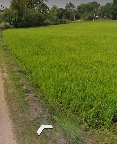 ขายที่ดินแปลงสวย 4 ไร่  17 ตารางวา ตำบลหนองหัวโพ  อำเภอหนองแสง   สระบุรี