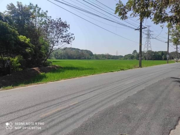 ที่ดินติดถนน ขายไร่ละ 4.4 ล้าน เนื้อที่ 16-1-89 ตรว. #สันทรายหลวง #สันทราย เป็นที่นา วิวสวย #ใกล้วัดสันทรายหลวง
