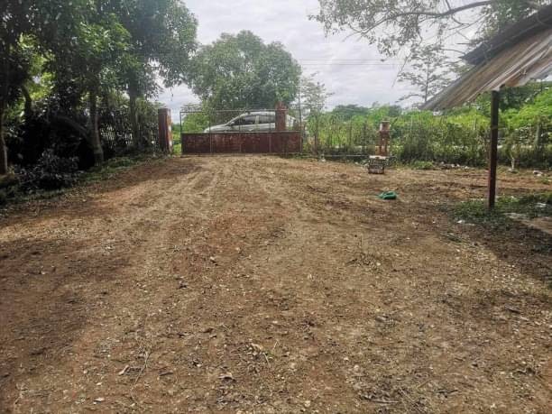 โซนสันทราย ขายไร่ละ 2 ล้าน เนื้อที่ 6 ไร่ ป่าไผ่ ที่สวน ติดน้ำ บรรยากาศดี ร่มรื่น ใกล้ม.แม่โจ้ ใกล้วัดทุ่งข้าวตอก #ราคาต่อรองได้