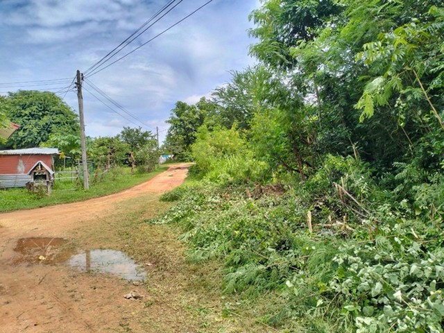 ขาย ที่ดิน ต.บ้านกอก อ.จัตุรัส จ.ชัยภูมิ  PAP1-0307