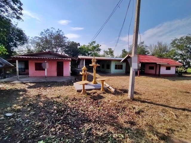 รายละเอียดเพิ่มเติมCode ID : PAP-8-0207ราคาขาย        1,500,000  บาท- ขนาดพื้นที่ :   1,317 ตร.ว (3 ไร่ / 1 งาน / 17 ตร.ว)- พื้นที่ใช้สอย :    533 ตรม- จำนวนห้อง : - ห้องนอน - ห้องน้ำ- ที่จอดรถ :  1-2 คัน- บ้านพร้อมที่ดิน : 1 ชั้น- บ้านพร้อมที่ดินหันทางทิศ : -พิกัดทรัพย์ :   https://maps.app.goo.gl/63MJXva2UoF8qE9T7สถานที่ใกล้เคียง- ใกล้วัดสระใหญ่- ใกล้วัดสามัคคีธรรม- ใกล้โรงเรียนสำราญราษฎร์บำรุง- ใกล้วัดหนองจงอางสอบถามเพิ่มเติม/นัดชมโทร. 097-419-5982(�