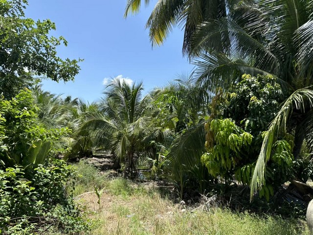 ขายที่ดิน ติดถนนบรมราชชนนี ตรงกันข้ามสำนักงานที่ดินจังหวัดนครปฐม ขนาดพื้นที่ 20 ไร่