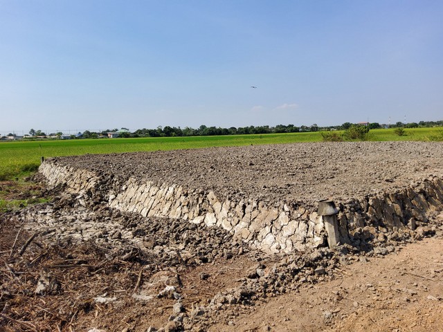 ที่ดินว่างเปล่าถมแล้ว [เจ้าของลงประกาศเอง]ถนนคลองเก้า แขวงคลองสิบ เขตหนองจอก กรุงเทพฯ 10530รายละเอียด:  ที่ดินว่างเปล่า 1 โฉนด  =  1  งาน  30  ตารางวา (130 ตารางวา)  หรือ  520  ตารางเมตร  (แปลงสี่เหลี่ยมจัตุรัส)ราคาค่าเช่า:  6,000  บาทต่อเดือนสภาพที่ดิน:  แปลงที่ให้เช่าอยู่ห่างจากถนนเส้นหลัก (ถ.คลองเก้า) ประมาณ  200  เมตร  มีทางเข้าเป็นถนนลูกรังถึงตัวแปลงไฟฟ้า และน้ำประปาถึงตัวแปลง***เ