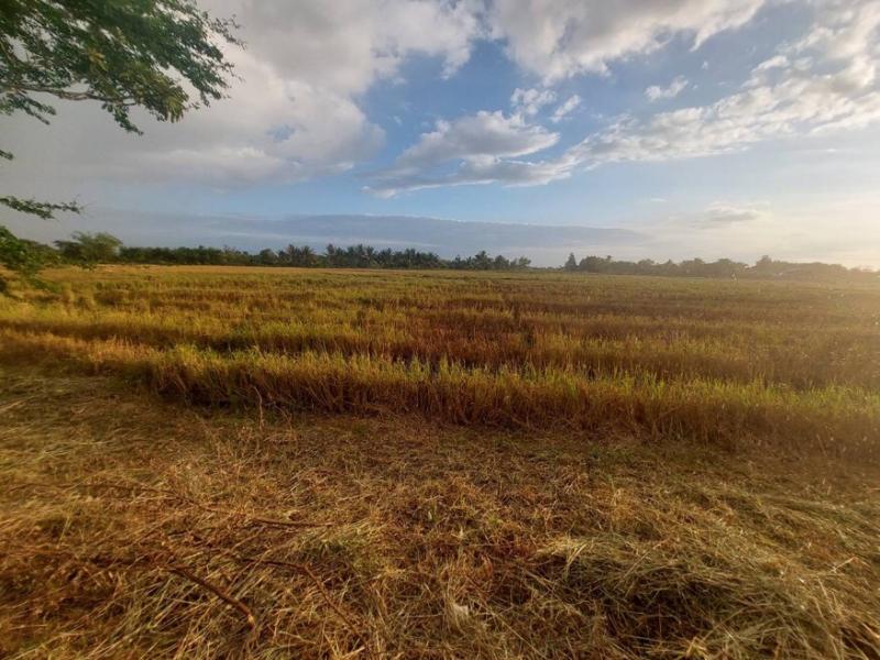  M25750ขายที่ดินเปล่า ถนนย่าพาย บวกค้าง สันกำแพง เชียงใหม่ รายละเอียดเนื้อที่ 1 งานติดถนนย่าพาย เหมาะทำโครงการบ้านจัดสรรที่ดินหันไปทางทิศเหนือผังเมืองสีเขียวค่าโอนคนละครึ่ง สถานที่ใกล้เคียงวัดย่าพายโรงเรียนบ้านร้อยพร้อม ******ราคา 700,000 บาท ****** สนใจสามารถนัดชมสถานที่ได้ พร้อมติดต่อสินเชื่อฟรีติดต่อ ฉัตรยา(ยาย่า) 085-509-9011Line id :yayazzzz หรือกด https://line.me/ti/p/wPxPHPtk2WWhatsApp +66855099011Realty One Estate(Thailand) Co.,Lt