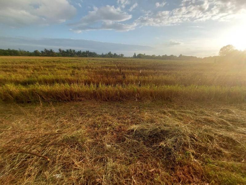 ขายที่ดินเปล่า 1งาน ถนนย่าพาย บวกค้าง สันกำแพง เชียงใหม่