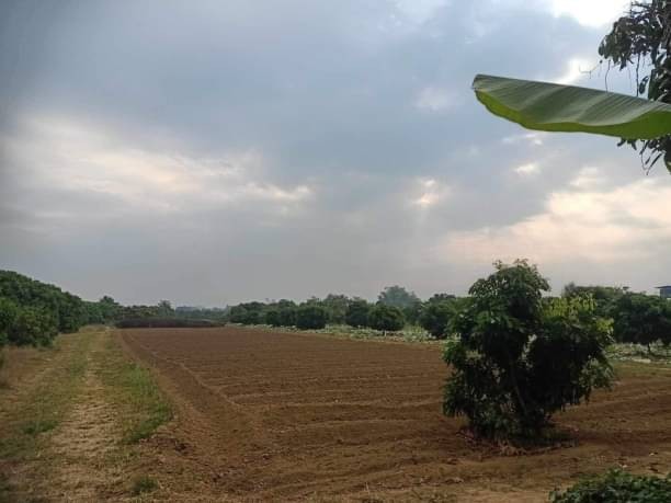 โซนสารภี ขายไร่ละ 2.8 ล้าน เนื้อที่ 4.5 ไร่ แถวนี้บ้านจัดสรรขึ้นเกือบเต็มค่ะ ที่สวย วิวดี ใกล้เมือง เดินทางสะดวกสบาย