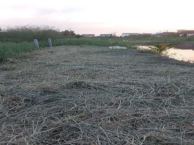 PZ159 : ขายถูก ที่ดินแบ่งขาย ตรว.ละ 28,000 ซอยพหลโยธิน 54/1แยก 6-10 ห่างจาก BTS พิพิธภัณฑ์กองทัพอากาศ 1.72 กม. แขวคลองถนน เขตสายไหม กรุงเทพมหานคร **รายละเอียด*ที่ดินแบ่งขาย    (ตรว.ละ  28,000 บ)(1)  แปลงที่ 1  เนื้อที่  401 ตรว.   ขนาดที่ดิน (85 ม x 20 ม)  ราคาขาย  9,300,000 บาท**จุดเด่น**-ที่ดินขายถูกเพียงตารางวา 28,000 -ที่ดินตั้งอยู่ในซอยพหลโยธิน 54/1แยก 6-10 -ห่างจาก BTS พิพิธภัณฑ์ดองทัพอากาศ  เพียง 1.72 กม. -เหมาะทำที่พักอาศั