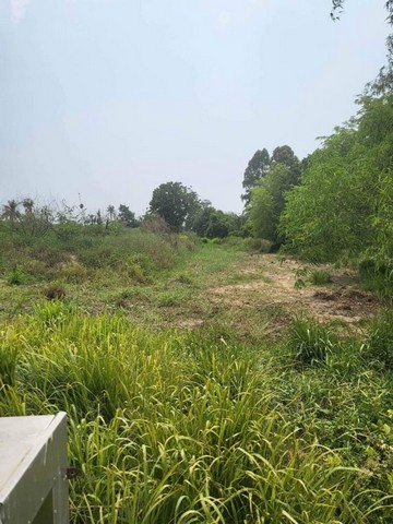 ขายที่ดินเปล่า หน้ากว้างติดถนน แหลมฉบัง ศรีราชา (เหมาะทำโครงการหมู่บ้าน) TP-L0028