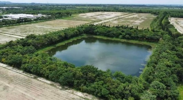 ขายที่ดินแปลงสวย คลองกิ่ว เมืองชลบุรี เหมาะพัฒนาที่ดิน ใกล้ทางหลวง TP-L0026